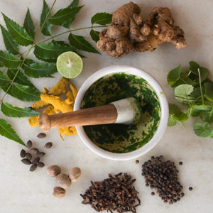 Healing Cancer With Nature
