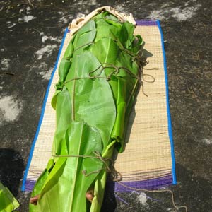 Healing Cancer With Nature