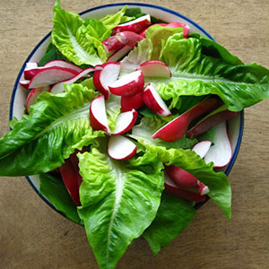 Healing Cancer With Nature