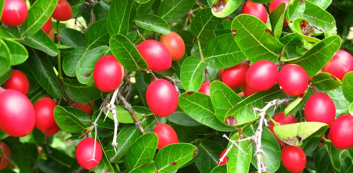 slider-image5